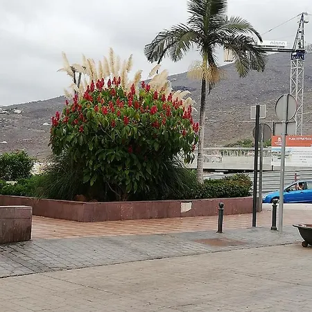 Vacaciones Torreon 阿德耶